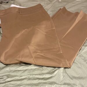 Gap Tan Modern Boot Dress Pants - 20R